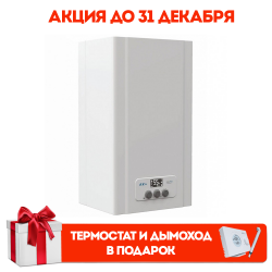 Газовый двухконтурный котел E.C.A. Gelios Plus 24 HM