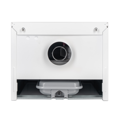 Настенный газовый котел Haier ProLine S 2.24 Ti