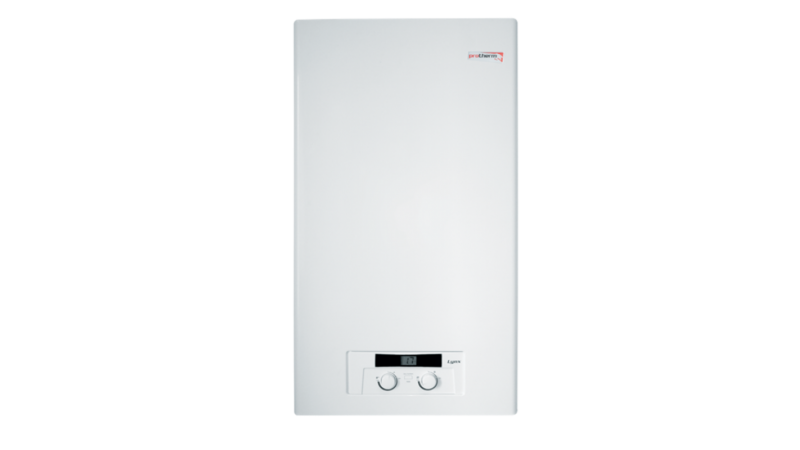 Газовый котел Protherm Lynx HK 24 (РЫСЬ)