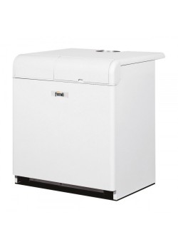 Газовый котёл Ferroli Pegasus 56